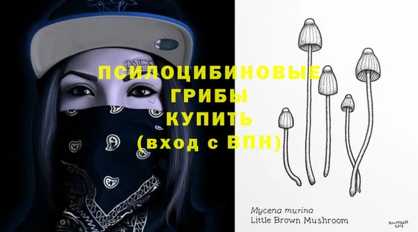 гидра Алзамай