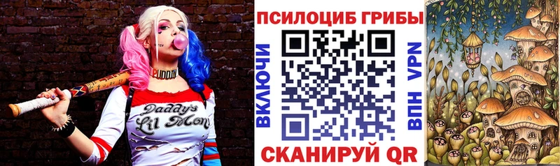Псилоцибиновые грибы GOLDEN TEACHER  Чебаркуль 